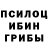 Псилоцибиновые грибы ЛСД Ulugbek Mamadzhanov