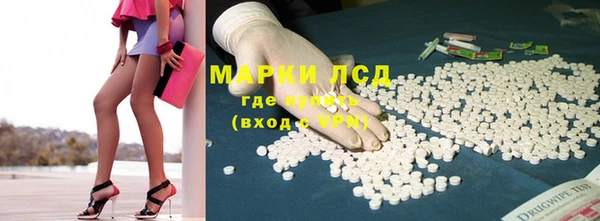стаф Беломорск
