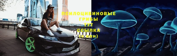 твердый Богородицк