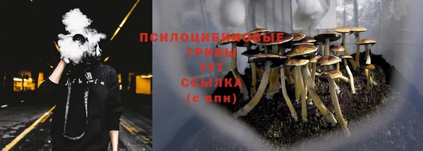 скорость mdpv Новодвинск