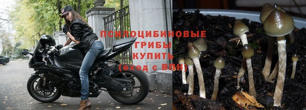 эйфоретик Нефтегорск