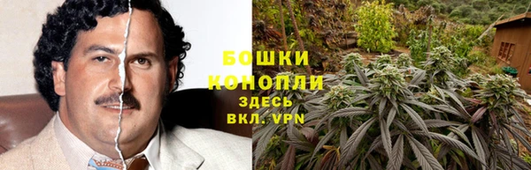 мяу мяу мука Богданович
